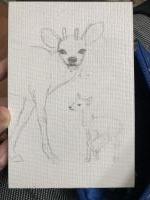 Littlest deer.